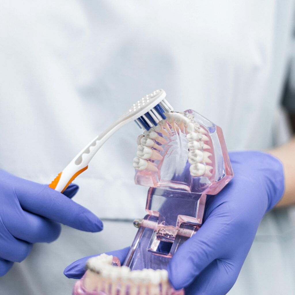 Close-up of a dentist using a toothbrush on a dental model, showcasing proper oral hygiene technique.